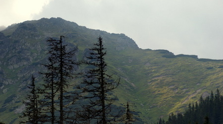 14219 - Zakopane Walka o Morskie Oko – Polska