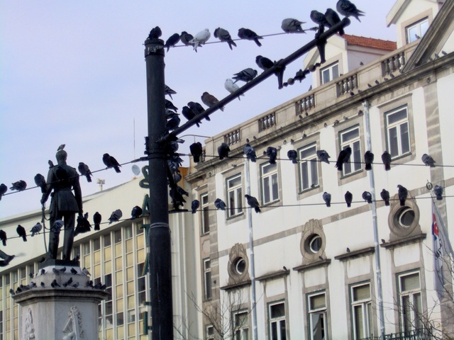 Portugalia