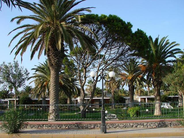 Ammoudara
