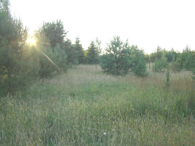Dsc06361
