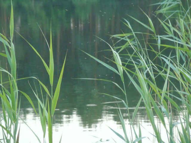 Dsc06400