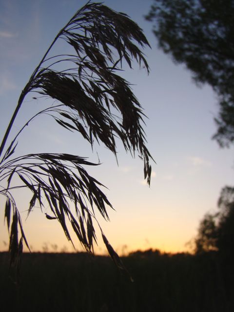 Dsc06412