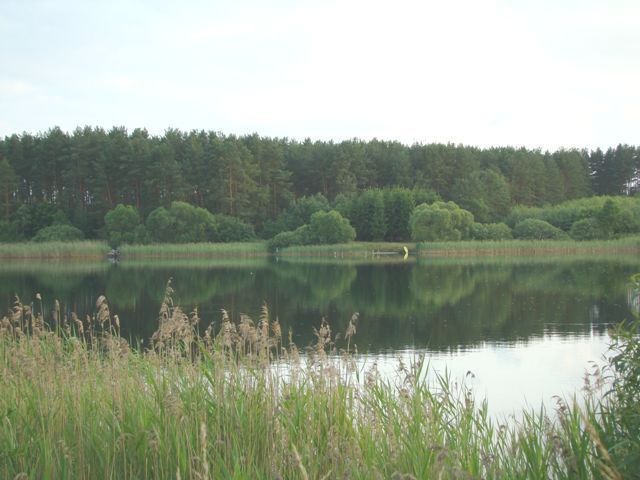 Dsc06447
