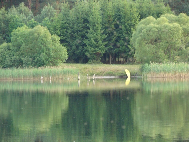 Dsc06451