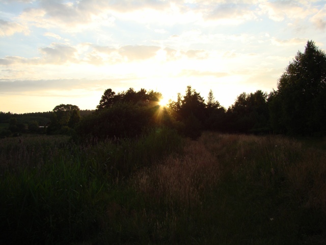 Dsc06475