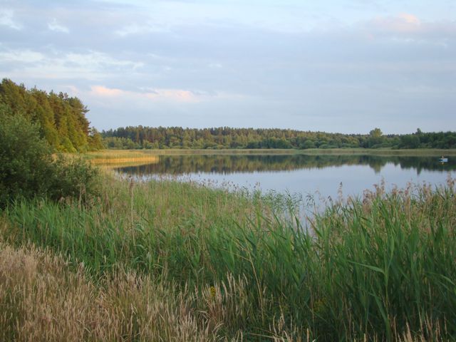 Dsc06509