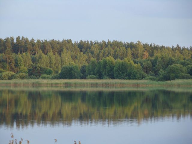 Dsc06510