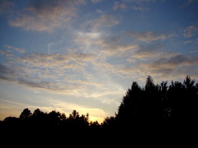 Dsc06533