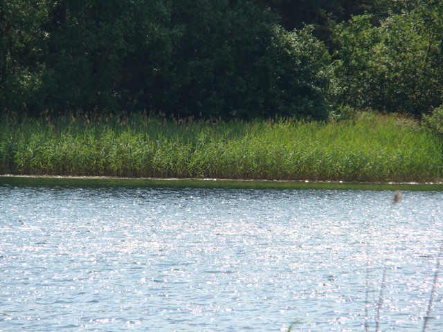 Dsc06547
