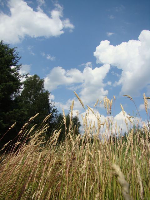 Dsc06572