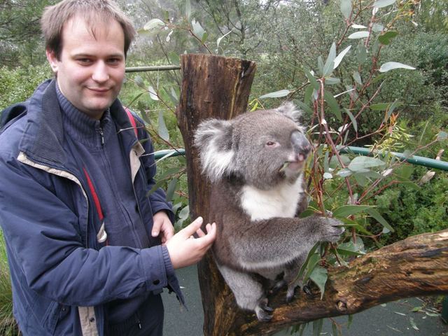 Z misiem koala