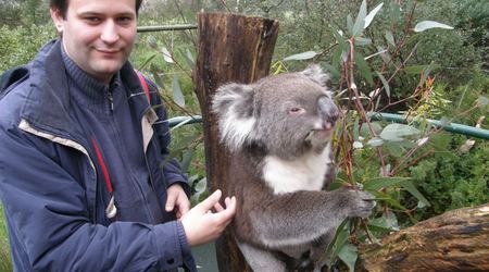 Z misiem koala – Adelaide, Australia