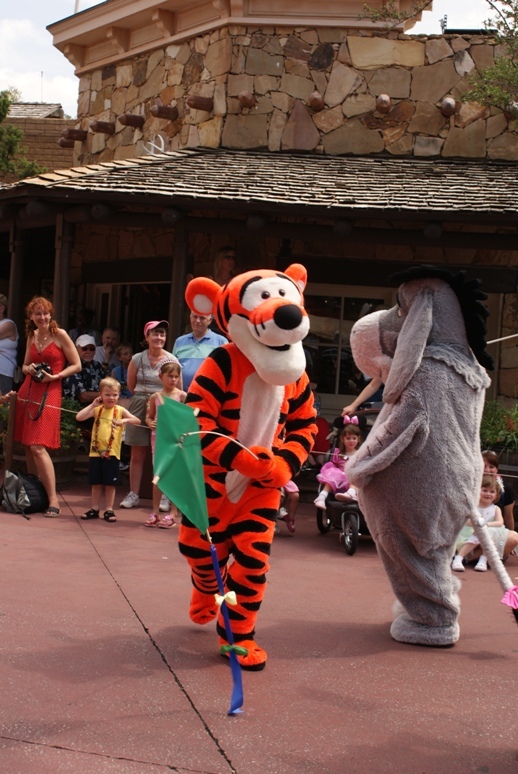 Disneyworld magic kingdom4