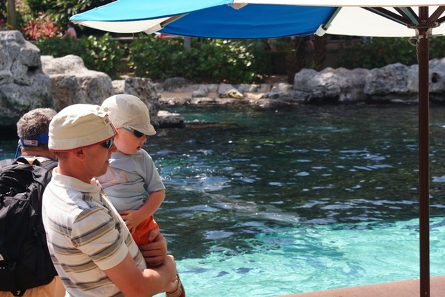 Seaworld1