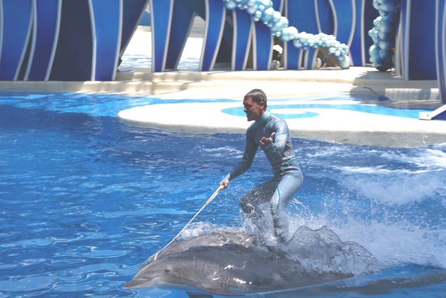 Seaworld5