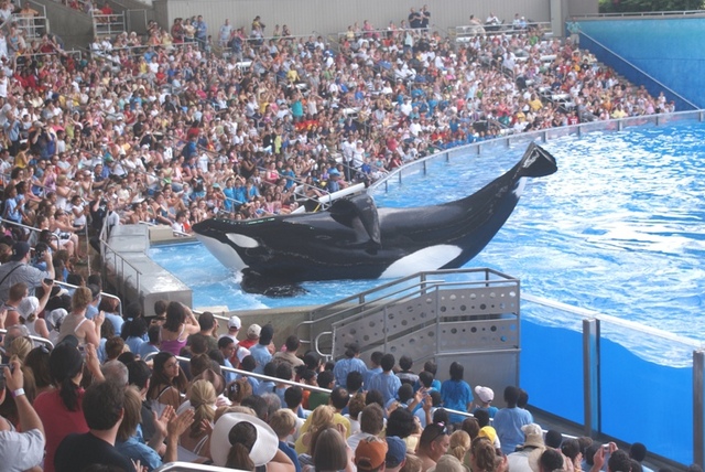 Seaworld8