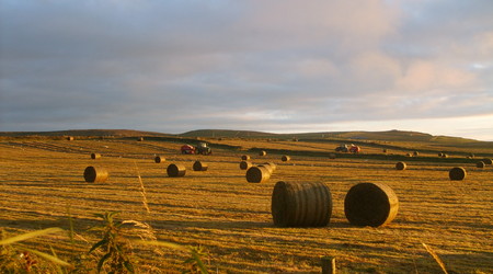 Irlandzki krajobraz – Irlandia