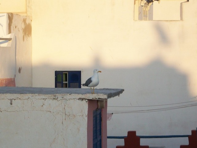 Image00003