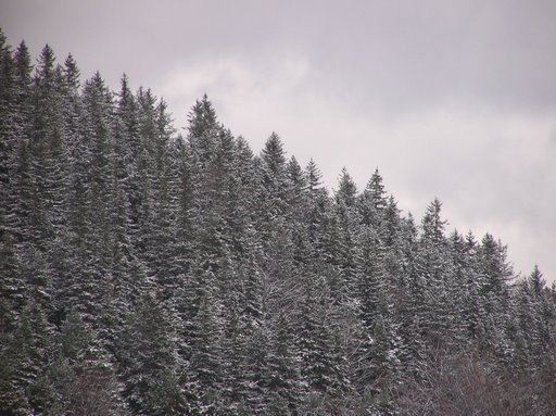 Karpacz