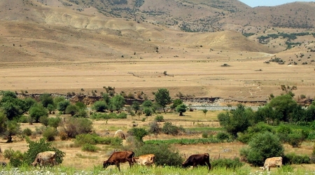 gruzja
