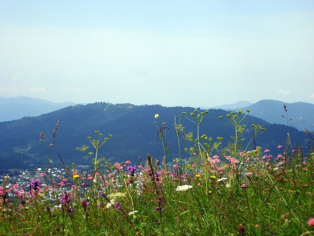 okolice Borjomi