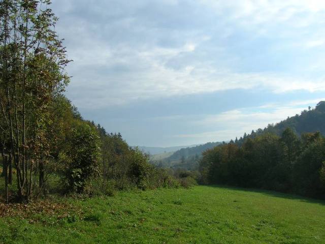Kielczawa