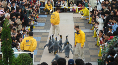 Osaka Akwarium – Kioto, Japonia