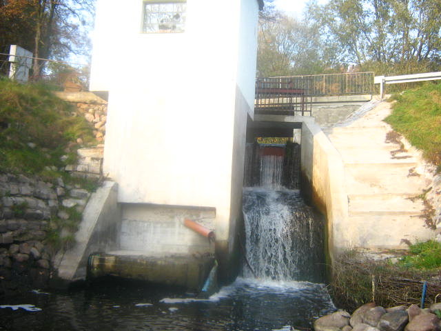 Img 4523