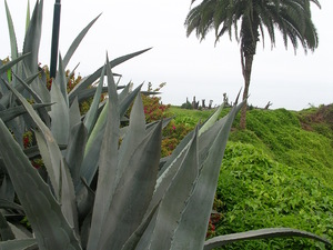 Peru 0lima17