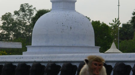 Anuradhapura – Sri Lanka