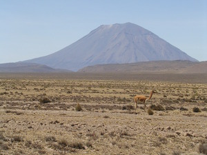 Peru 143