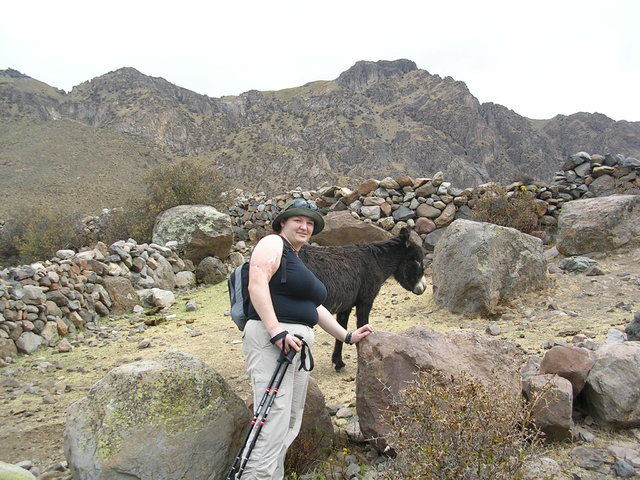 Peru 204