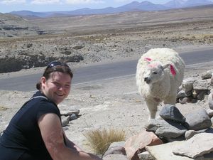 Peru 149