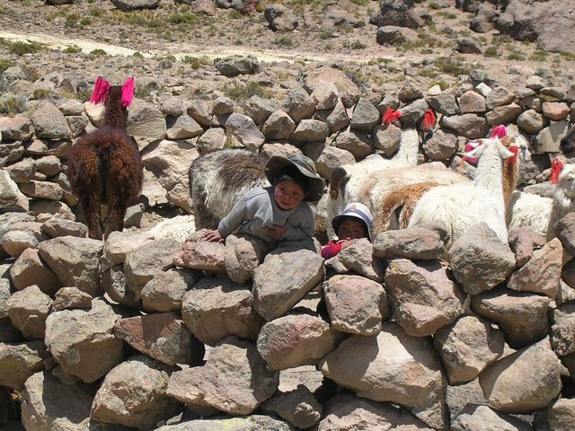 Peru 156