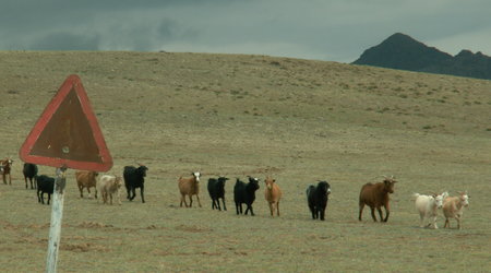 a znak jest – Mongolia