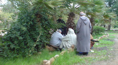 19659 - Fès – Maroko
