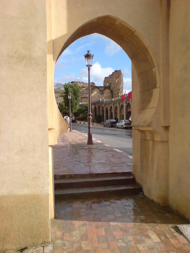 Dsc04590