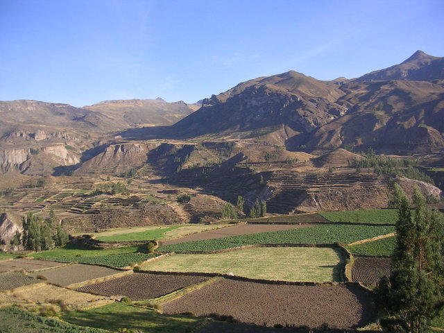 Peru 239