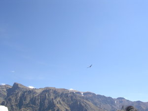 Peru 328