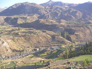 Peru 241
