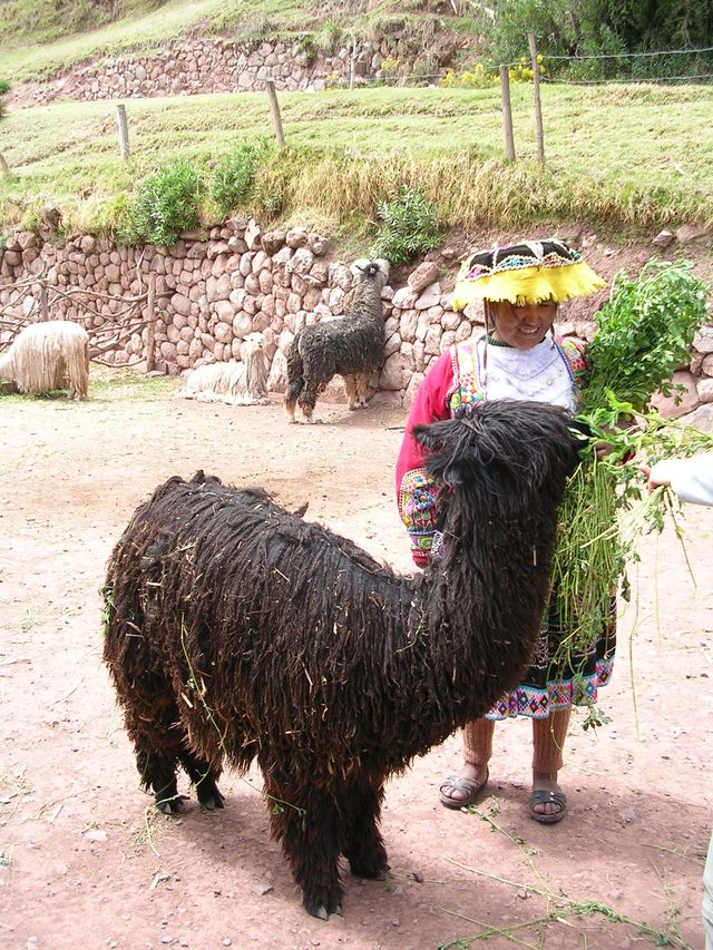 Peru 617