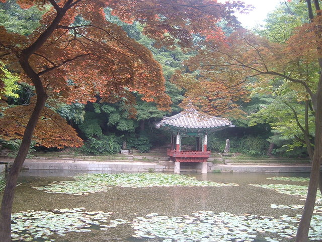 Seul