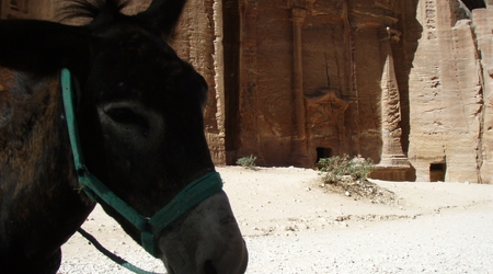 Petra - Jordania