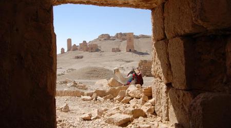 25810 - Palmyra beduini camele i kupa kamieni – Syria