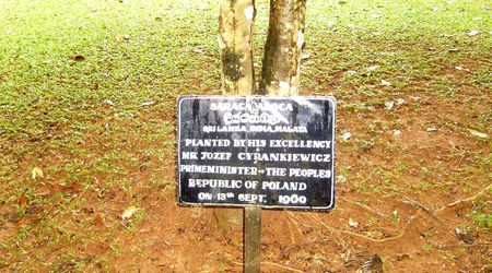 Cyrankiewicz – Sri Lanka