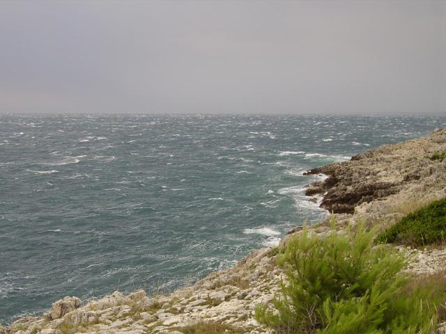Wieje