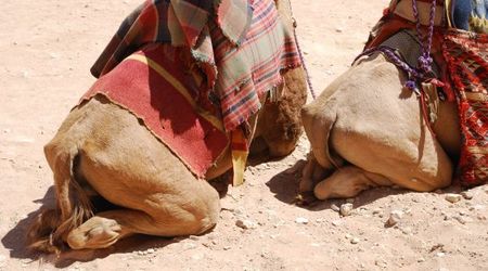 dupki ;) – Wadi musa, Jordania