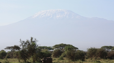 Kilimanjaro – Amboseli, Kenia