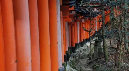 Kioto, bramy Fushimi Inari Torii – Japonia