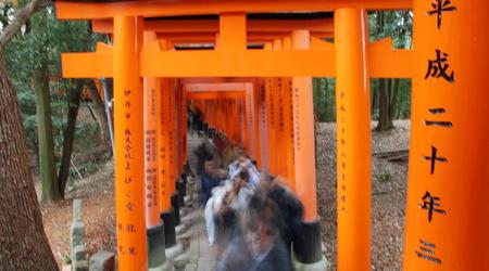 Kioto, Fushimi Inari Torii – Japonia